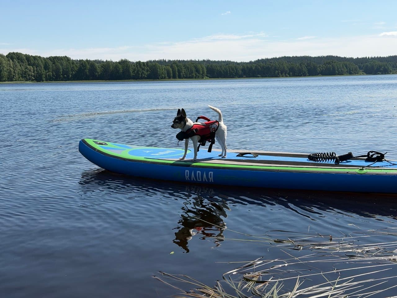 SUP-доски